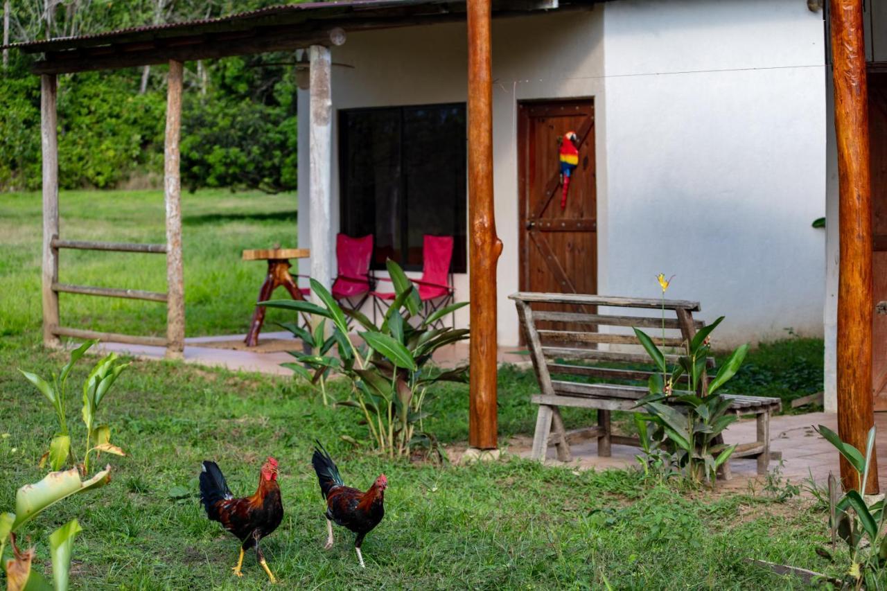 Hotel Oso De Osa Sierpe Exterior foto